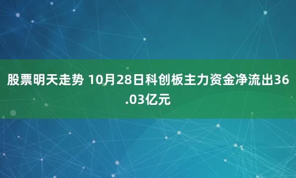股票明天走势 10月28日科创板主力资金净流出36.03亿元
